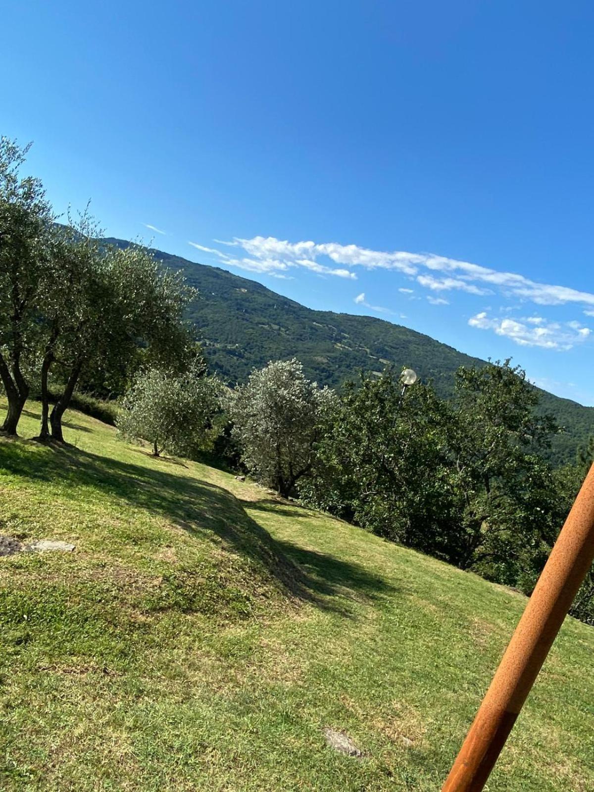 Locanda Di Praticino Rufina Екстериор снимка