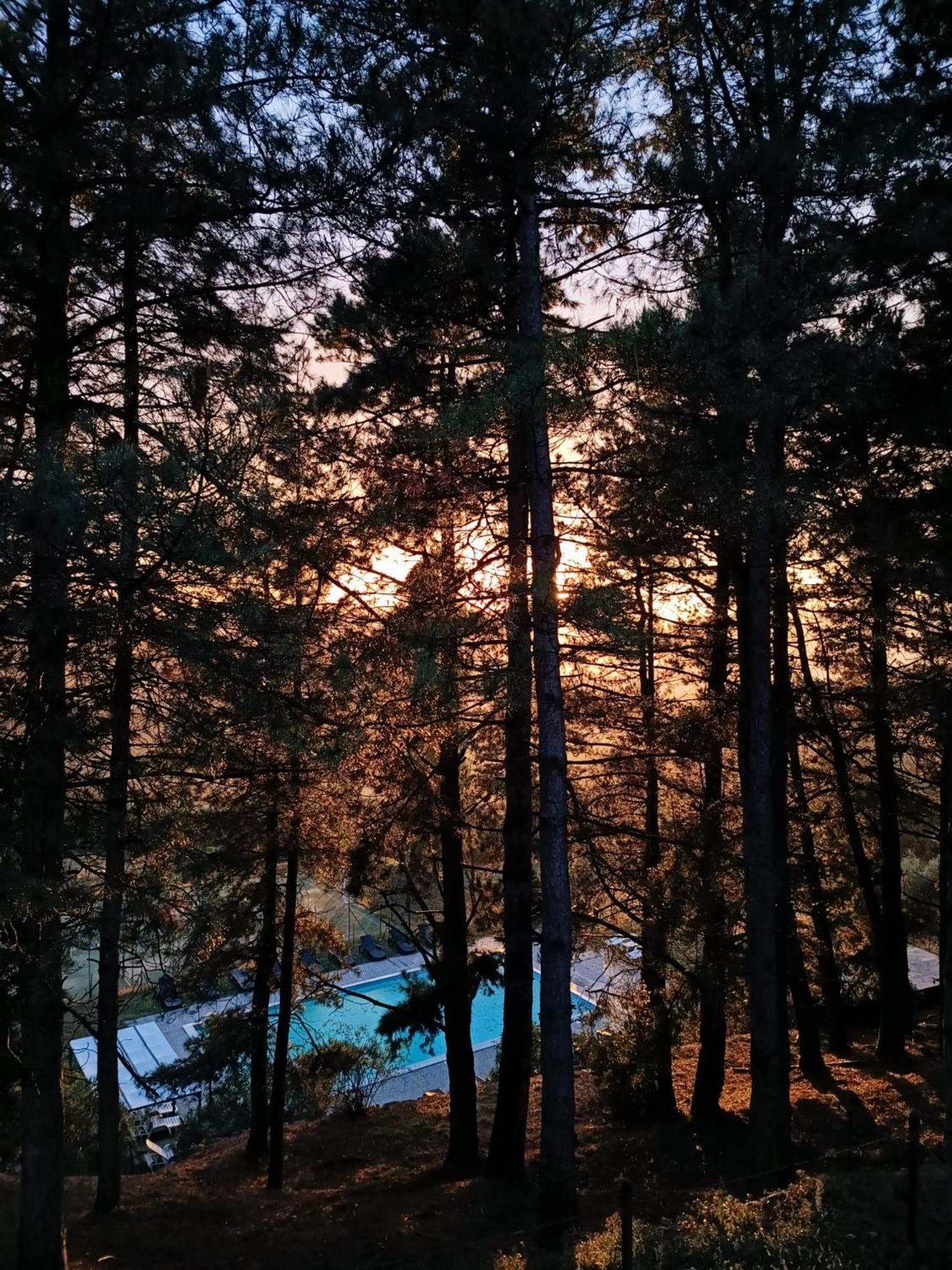 Locanda Di Praticino Rufina Екстериор снимка